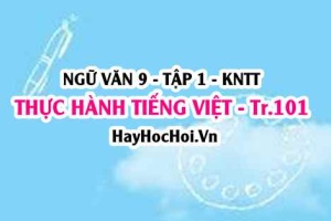 Soạn bài Thực hành Tiếng Việt trang 101 Ngữ văn lớp 9 tập 1 Kết nối tri thức